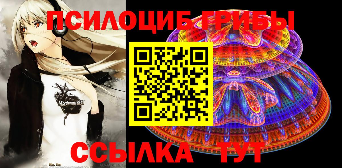 Псилоцибиновые грибы мицелий  Вход с VPN  Псилоцибиновые грибы GOLDEN TEACHER  Тында 