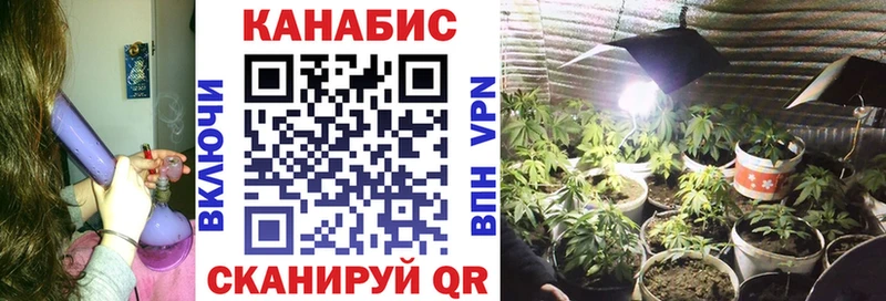 Канабис семена  Тында 